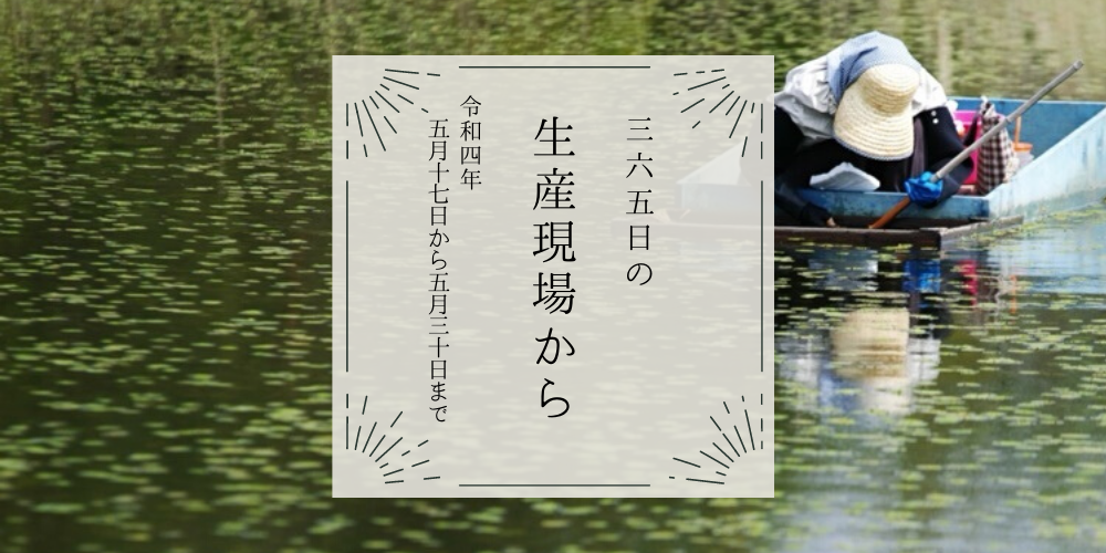 5月17〜30日の生産現場から、芒種の37投稿！ | 農家漁師から産地直送の