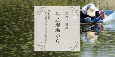5月17〜30日の生産現場から、芒種の37投稿！