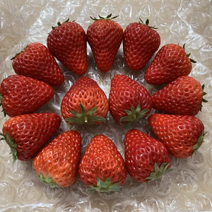 紅ほっぺ （サイズ、形いろいろ）約300g