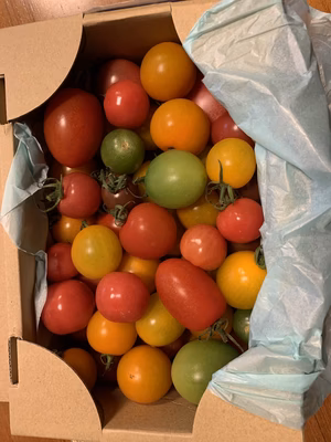 みんなの投稿の画像