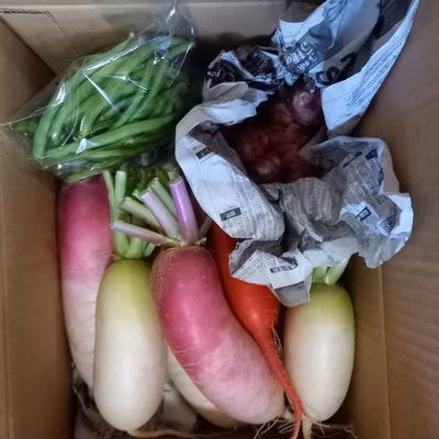 みんなの投稿の画像