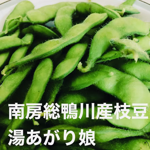 枝豆1kg 自然栽培 南房総鴨川産