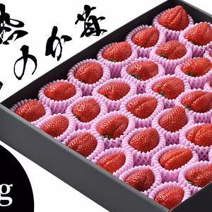 【熊本県産】完熟さちのか苺 1kg