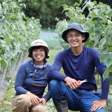 笹川雄也 | 結農実WORKS