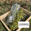 数量限定！枝付き丹波篠山黒枝豆2束入り