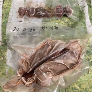 天然カルガモ丸ごと冷凍肉700g
