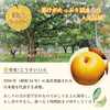 訳ありB品【幸水こうすい】梨。長野県産