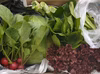 【自然の香り】 野菜セット 3種類以上