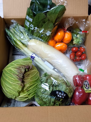 みんなの投稿の画像