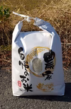 大自然の中で育った！高知県東洋町産コシヒカリ♪