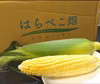 まるで食べるコーンスープはらぺこ畑のイチオシご褒美【プレミアム味来】