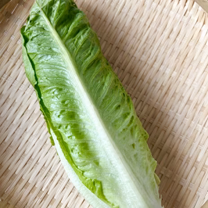 【お試し】京都産ロメインレタス2玉＆旬のイタリア野菜ちょっとずつセット