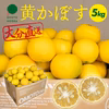 【市場にはあまり出回らない】大分県宇佐市産　黄かぼす（約5kg 25～35個）