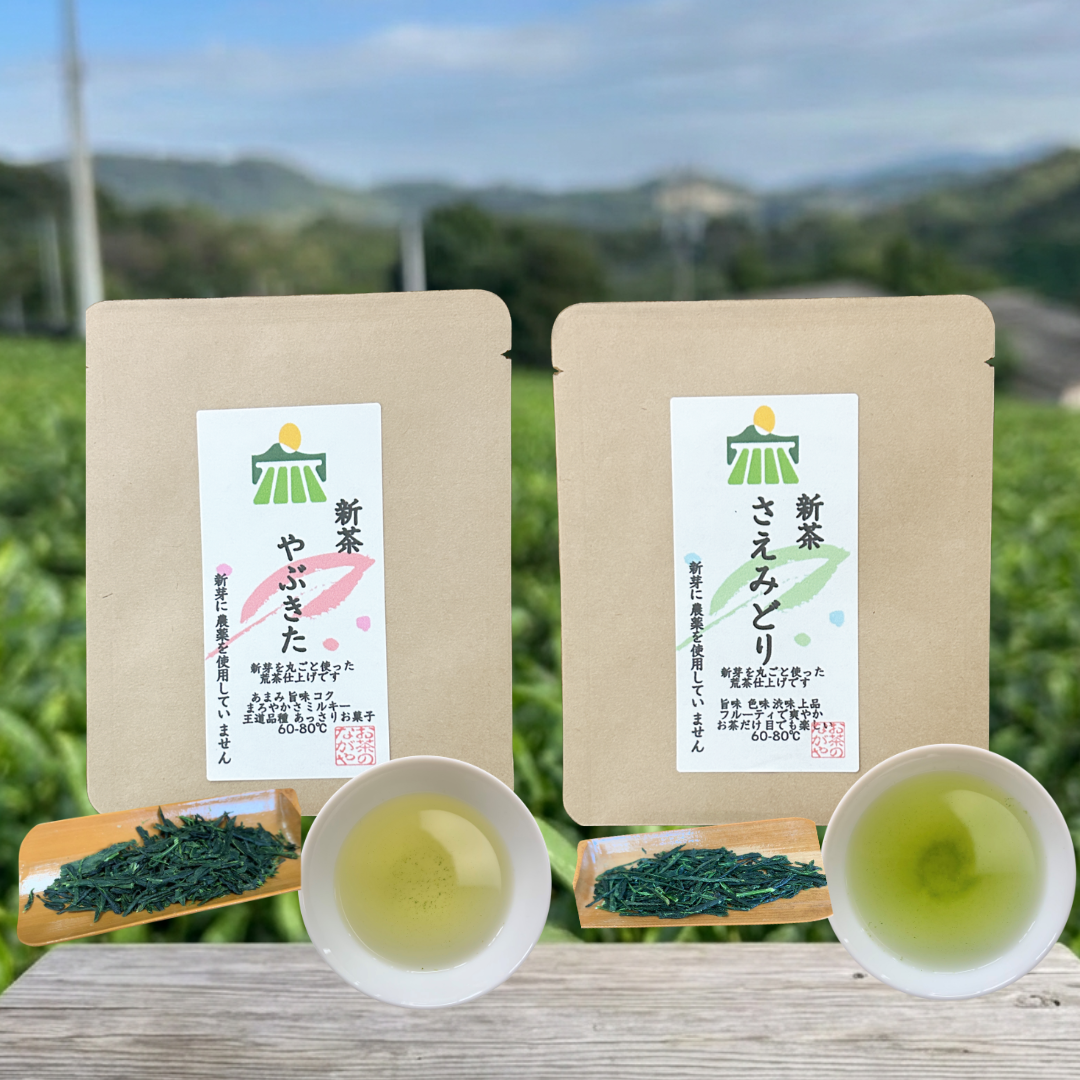 送料無料】令和8新茶 お試し手土産に1煎ミニパック5ヶ 新茶2品種飲み