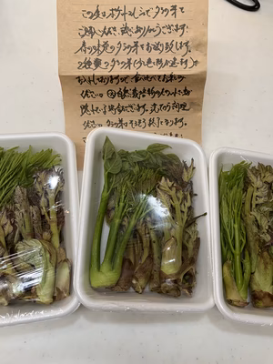 みんなの投稿の画像