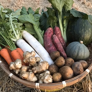 【毎週定期便】冬のおまかせ野菜セット 5-8種