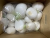新玉ねぎ白剥き❗️白剥き新玉ねぎ❣️生ゴミ無し！❣️主婦の味方