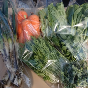【固定種・在来種】無農薬・自然栽培！こだわり野菜 ポケマルセットSサイズ