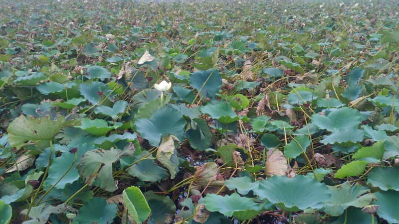 o0960054013752211882