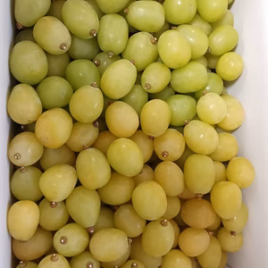 ２種類以上食べ比べ☆早い者勝ち‼️