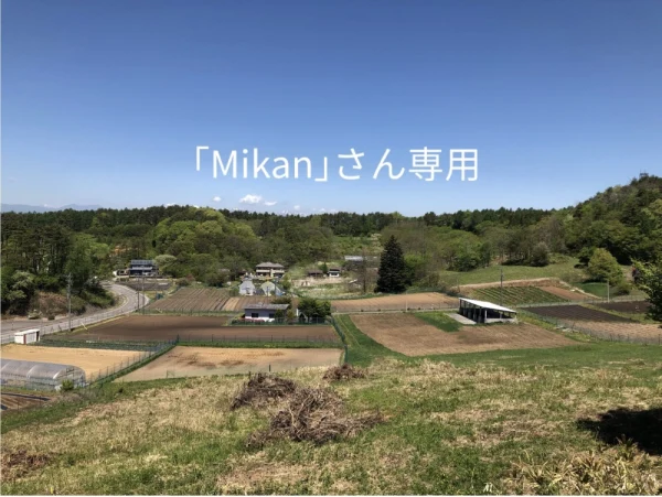｢Mikan｣さん専用