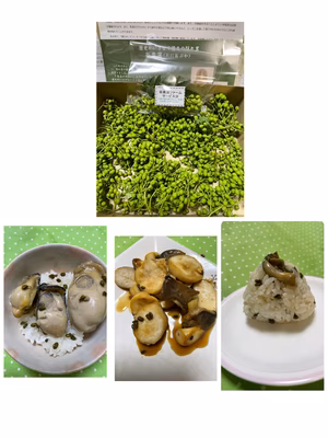 みんなの投稿の画像