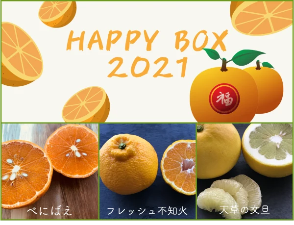 2021新春『HappyBox2021』(柑橘3種セット＆福の品）