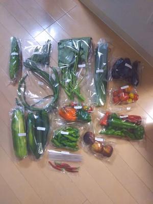 みんなの投稿の画像