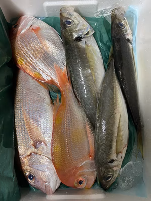 みんなの投稿の画像