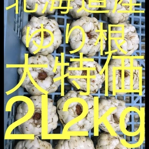  送料別 北海道産 ゆり根 2L 2kg お徳用大特価 野菜