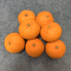     小豆島産 甘夏 訳あり 家庭用 5kg 10kg