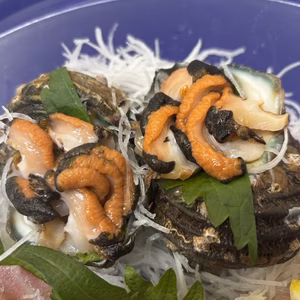 【素潜り選別一択】目利き漁師が完全厳選『天然国産サザエ』約1㎏【個数限定】