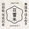 はえぬき 無洗米 10kg 山形尾花沢産 令和2年産