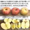 サンふじ りんご 加工用 約2.5キロ およそ12-17玉 ※商品説明文必読