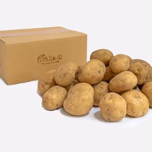 無農薬・無化学肥料のジャガイモ（ニシユタカ） 2.5kg