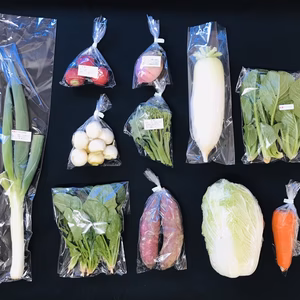 1月のオーガニック野菜セット【送料無料】（　常温便　）