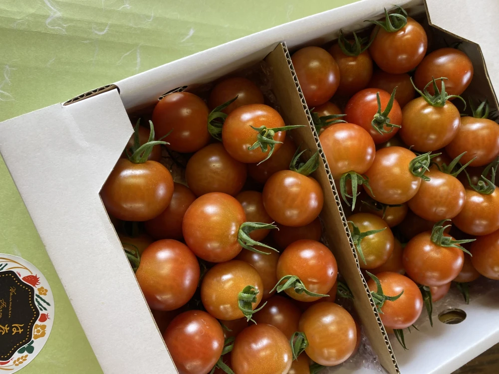 はなまる農園のこだわりミニトマト1.2キロ ギフト用｜野菜の商品詳細