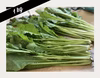信州の特産 [野沢菜漬けを手作りしよう]お試し1kg