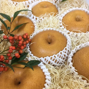 香り高さを味わってね「あたご梨」大玉は赤ちゃんのお顔サイズ梨♪