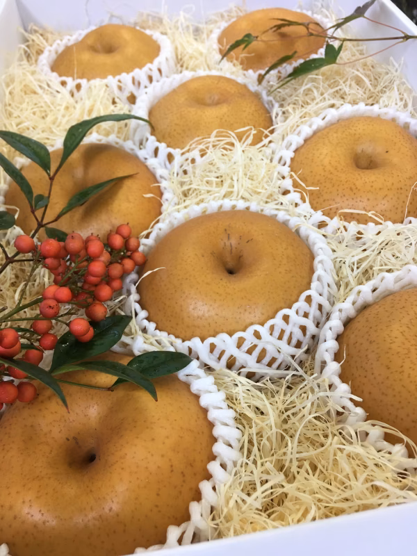 香り高さを味わってね「あたご梨」大玉は赤ちゃんのお顔サイズ梨♪