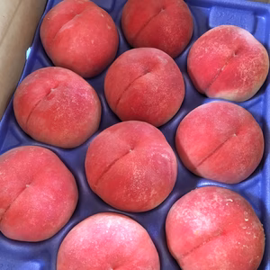 福島の桃 3kg 8月の品種おすすめ