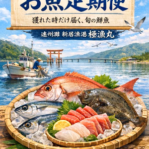【獲れたら発送】遠州灘魚介類鮮魚BOX