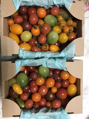 みんなの投稿の画像