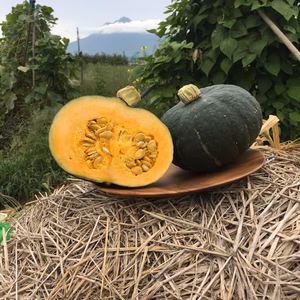 いも。くり。なんきん。『特濃こふき』