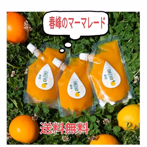 （送料無料)香り豊かな春峰マーマーレード❣パンやヨーグルトのトッピングに！