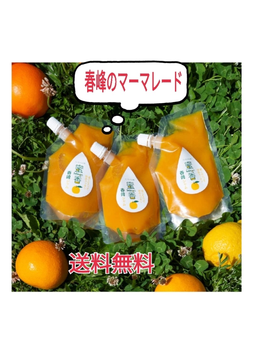 送料無料 香り豊かな春峰マーマーレード パンやヨーグルトのトッピングに 農家漁師から産地直送の通販 ポケットマルシェ