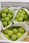 【信州産】シャインマスカット 1kg（2〜3房)