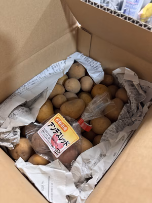 みんなの投稿の画像