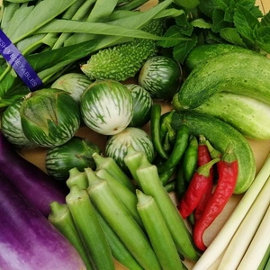 「タイなす」が入った野菜セット