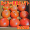 たくろー君家のトマト
